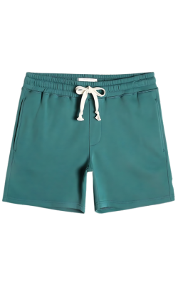 Shorts for Men 10